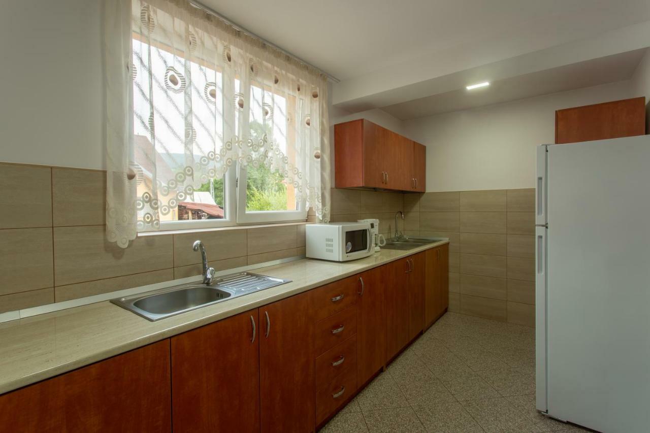 Pensiunea Casa Alexandra Vatra Dornei Exterior foto
